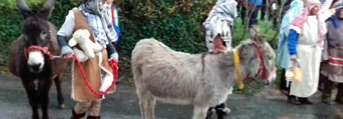 Donkey.2017